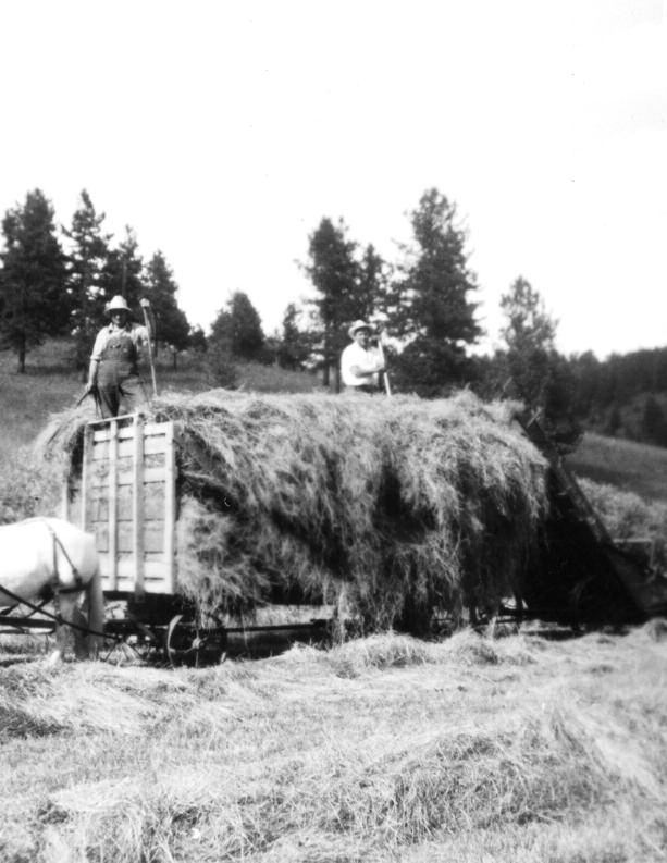 TORICALLY JEFFCO The Conifer Barn Story on page 32.