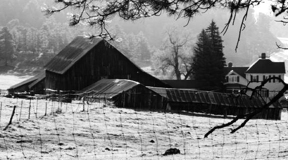 In 1873, Isabella Bird witnessed this view of the new (1870) barn at the McIntyre Homestead (now Meyer Ranch) as she passed on Denver Bradford and Blue River Wagon Road, now the core of a new Conifer