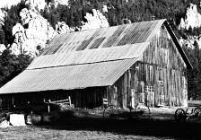 All photos copyright 2008 Paula Hutman Thomas unless otherwise noted -32- Conifer Barns: Snapshots from a Rocky Mountain Landscape An Architectural Archive at the Modern Junction of Time and Place By