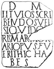 Patterns of text layout in Pompeian verse inscriptions 227 with these text types, and in fact so well-acquainted with them that we do not normally realise we are dealing with them unless something