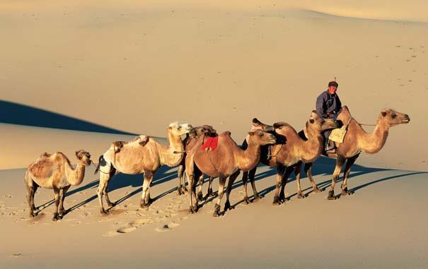 They obtained camels and set off toward the East. For much of their journey, they followed the Silk Road.