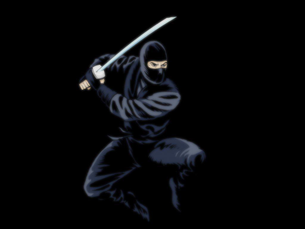 Ninja 27