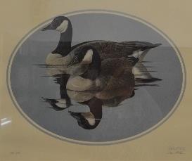 McRill Canada Geese 385 450