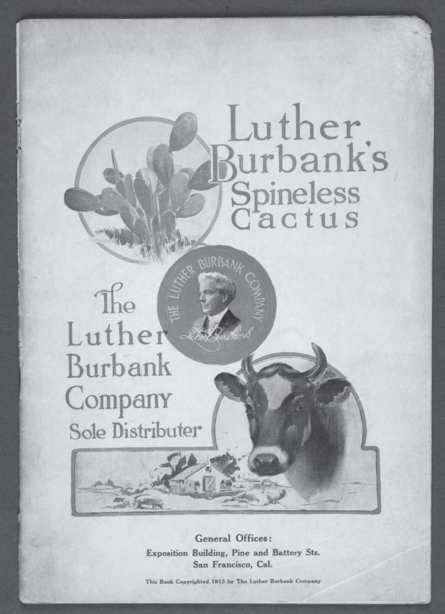 engine, and enough irrigation equipment to turn his land into an improbable center for rice growing, but as the Los Angeles Times correctly noted in 1913, his spineless cactus order would take more
