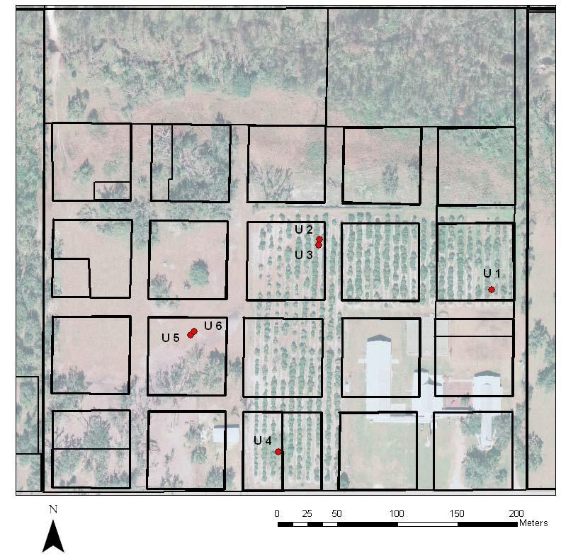 Figure 5.15. Location of all units excavated at the Pine Level site.