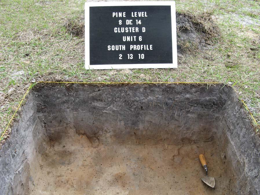 Figure 5.24. South profile of Area D, Unit 6. layer was a brown sandy loam that extended from 30 to 40 cm before the unit was discontinued.