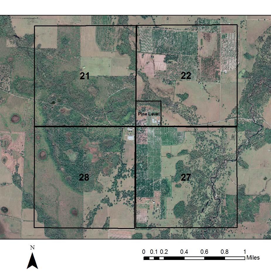 Figure 4.4. Map showing sections surrounding the Pine Level site.