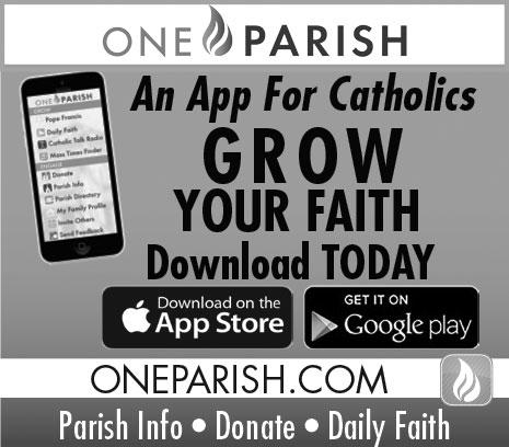 LIVE TO SERVE Parishioner DISCOVER THE CATHOLIC DIFFERENCE