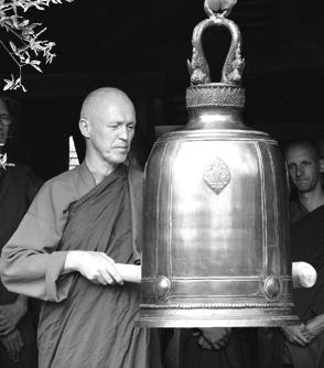 Abbituary Ajahn Sucitto, who has recently resigned from being abbot (in Ajahn Chah s phrase the rubbish bin ) at Cittaviveka, offers some reflections on his period of tenure.