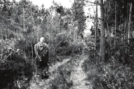 Ajahn Vajiro walks on the land that is proposed to be purchased. Portugal is cheap, and it is true that very rural property can be very cheap, but property close to Lisbon is much more expensive.