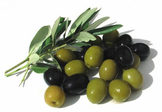 Ramses Teine, Egiptuse valitseja (1290-1224 enne Kristust) olevat kõikide hädade korral oliiviõli kasutanud. Ka Plinius soovitas inimestele kahte vedeliku sisemiseks veini, välimiseks oliiviõli.