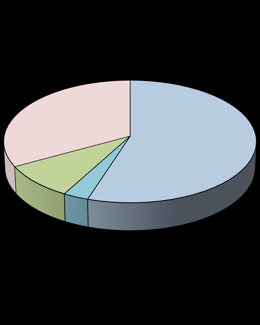 Report of the Treasurer Revised 4/27/16 Pie Graph (Budget) Northern Illinois Synod - 2017 Budget