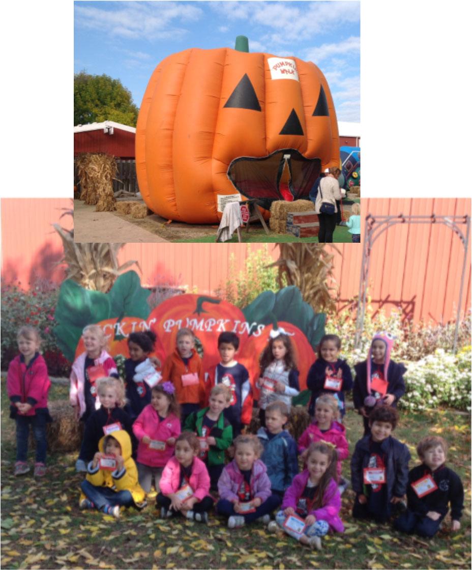 Faith Formation and Education SAINT ANNE PARISH SCHOOL NEWS PRESCHOOL Saint Anne Preschool culminated their October study of the pumpkin life cycle with a trip to Tom s Farm, Algonquin.