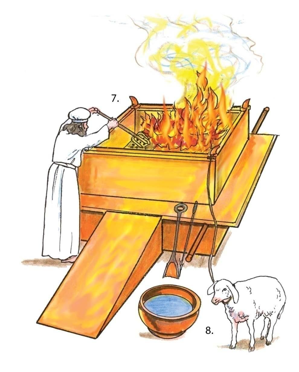 7. Altar of Burnt Offering or Brazen Altar: This was where the sacrifices for sin were burned to ashes, showing that the end result of sin is death. 8.