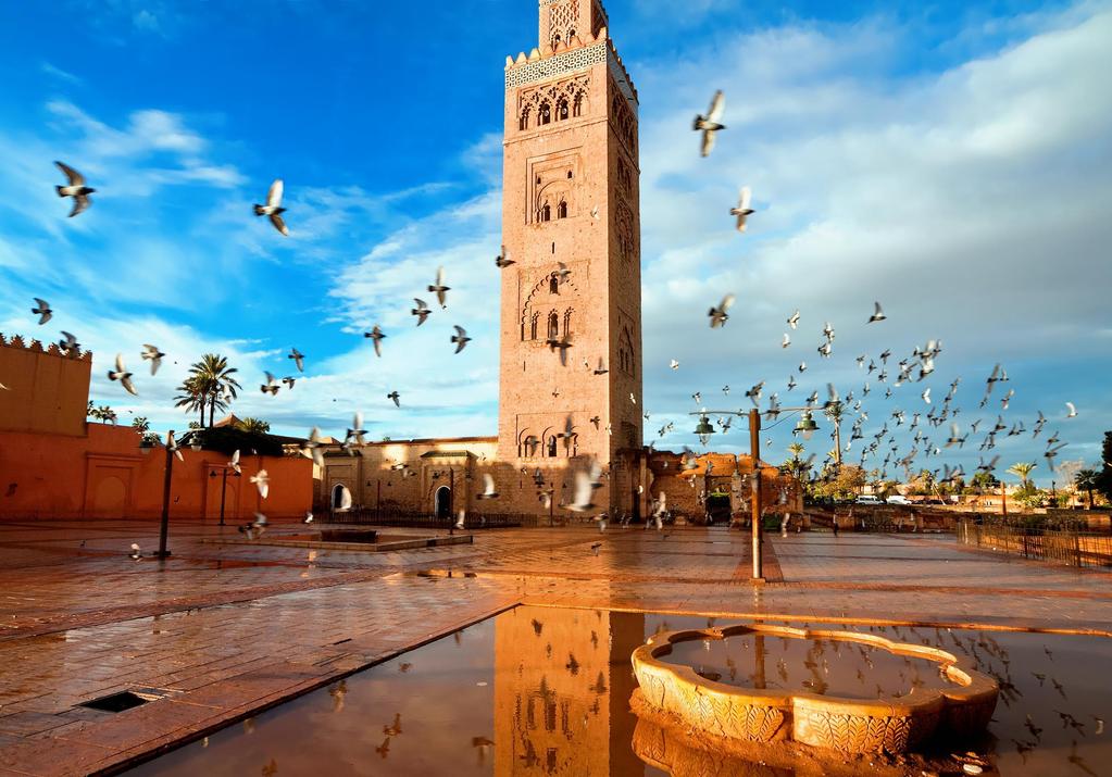 Morocco discovery.