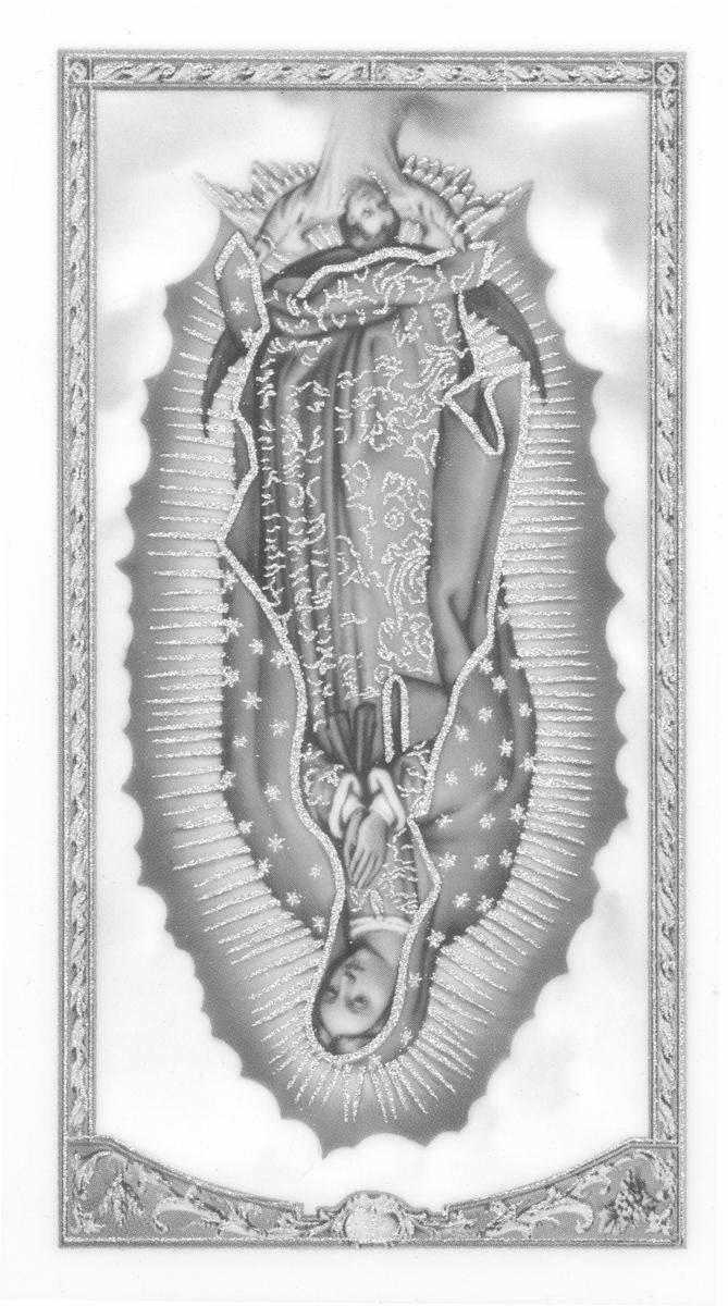 Our Lady of Guadalupe Catholic Church 409 West Krezdorn Rectory 830-379-4338 Seguin, Texas 78155-4429 Fax 830-303-1002 Email: olgseg@satx.rr.com School Website 830-379-2818 www.seguinolg.