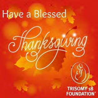May our celebration of Thanksgiving be a reminder of the abundance of your love