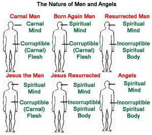 spiritual body. There is a natural body, and there is a spiritual body. Page 4 So the bible talks of two types of bodies which humanity can have. The natural body, which is the body we have today.