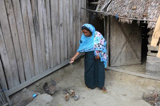Musa s family, like many rural families, keep ducks and chickens. Musa collects the eggs from their ducks and chickens. Eggs are Musa s favourite food.