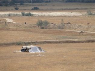 Prayer Update From Israel (October 29, 2012) Bedouin tent and camels in the desert; photo taken from well at the site of ancient Beersheba.