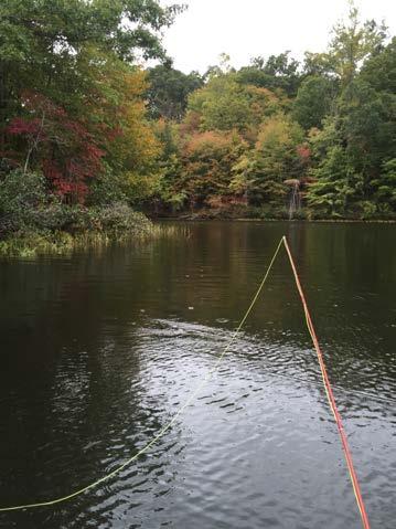 Eco-Contemplative Fly Fishing Experiences Within a Watery World by Eric McDuffie And