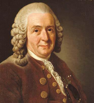 Carolus Linnaeus: Founder of Modern Taxonomy J E R R Y B E R G M A N, P h. D. God created the world, Linnaeus put it in order. Å.