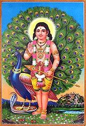 Lord Murugan Kartikeya or Murugan, also called Subramanian, is another son of Shiva and an equally popular Hindu deity, especially among Tamil Hindus.