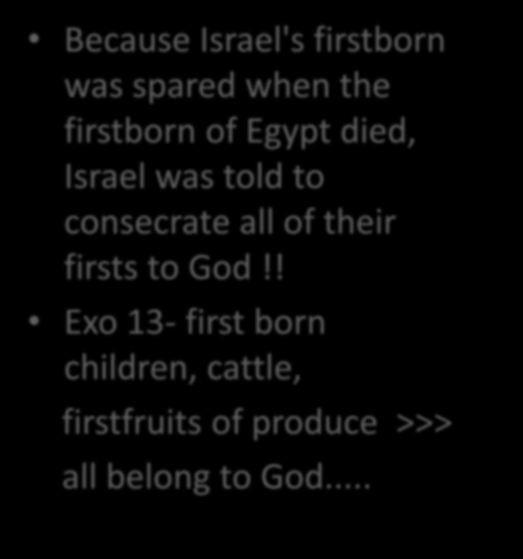 when the firstborn of Egypt died, Israel