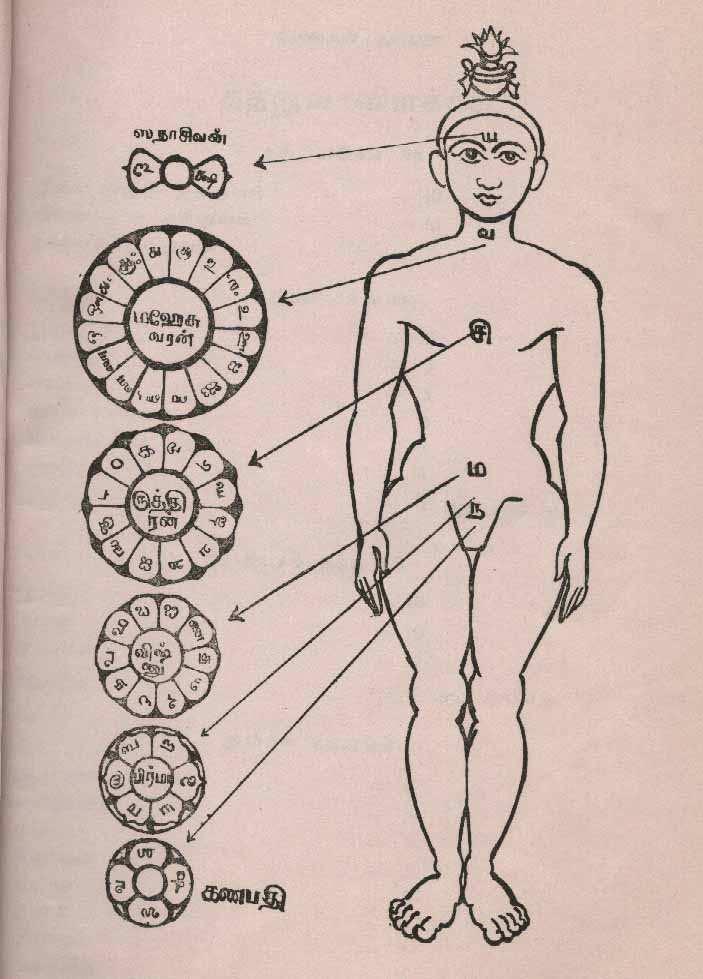IMPORTANCE OF SEX ENERGY Sexual Vital Fluid (Semen) LIFE TRIANGLE PHYSICAL BODY Mind 1. Seven Chakras 2. Seven Ragas 3. Seven Dhatus 4.