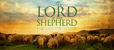 sending forth Rev. Wendy Lambert We are sheep with a shepherd who loves us; In the face of death, we will not fear. Christ will not leave us, His strength and mercy comfort us.