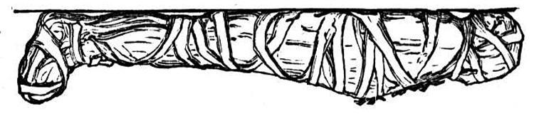 41e. Mummies SAMPLE
