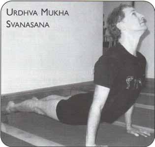 Backbending Asana Guruji 1988 tailbone in and draw it forwards. Lift chest at the rim of the pelvis to raise up, more and more. Feel the grip of the upper chest by work of the legs.