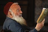 Rabbi is a teacher of the Torah.