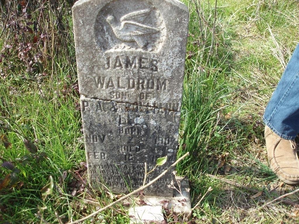 James Waldrom Lee (Walter or Buddy)