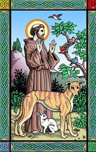 I leave you with St. Francis of Assisi, Patron St. of Animals St. Francis was born at Assisi in 1182.