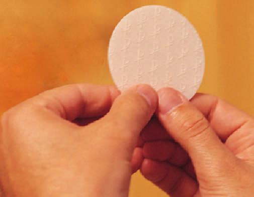 Hospital Eucharistic Ministry There will be a Hospital Eucharistic Ministry Session on Saturday, February 14, at St.