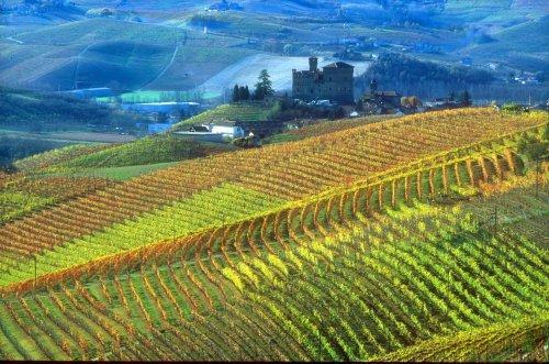 Elements of the parable: The Piedmont near Turin, Italy very productive land Keep deception and lies far from me, Give me neither poverty nor riches; Feed me with the food that is my portion 1.