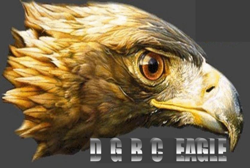 DEBC Eagle MINISTRY SPECIALIZATION COURSES EMPHASIS IN LEADERSHIP (15 HOURS) CC415 Human Development OL440 Conflict Management and Resolution OL460 Ethics in Leadership RS440 The Challenge of