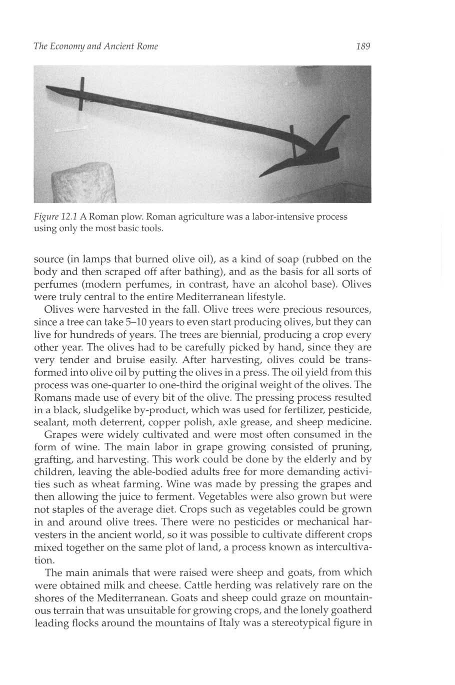 The Economy and Ancient Rome 189 Figure 12.1 A Roman plow. Roman agriculture was a labor-intensive process using only the most basic tools.