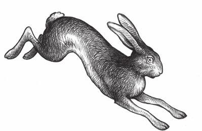 2. THE RABBIT/HARE CHARACTER: Runs away as soon as its senses tension, conflict or any unpleasant emerging situation. This may mean switching quickly to another topic.