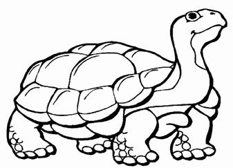 4.THE TORTOISE CHARACTER: Withdraws from the group, refusing to give ideas. With this analysis comes our question: DO WE KNOW PEOPLE WHO ARE LIKE THAT? IS ANY ONE OF US LIKE THAT? Think about it. 5.