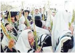 Waving Lulav at Services The lulav is shaken during the Hallel (praise psalms sung right after the Amidah in the morning service) as well as during the Hoshanah - a hymn that begins with Hosha na