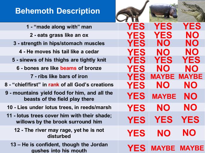 Behemoth Description from Job 40 Compared to Hippos and Crocodiles 2 Statement #10: The Bible says that all land-dwelling, air-breathing animals died in a worldwide Flood (save those on Noah s Ark)