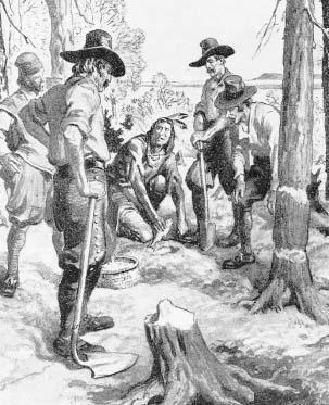The Pilgrims hoped to settle in Virginia, but landed too far north.