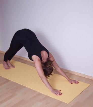 Step 7: Parvatasana While exhaling, raise the buttocks, chin to chest, push the head towards knees and try to touch heels to the ground without shifting the position of hands and feet.