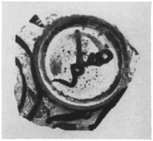 Museum of Islamic Art, Cairo (Bahgat and Massoul, Plate xiv, 3a, b): base Confronted long-eared animals (unidentifiable) executed in luster and separated by vertical object; design must have covered