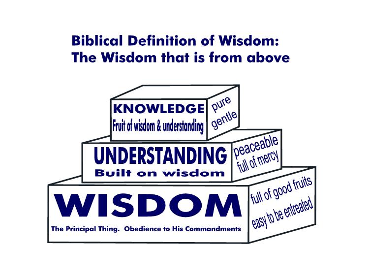 The Foundation of Wisdom 4 If wisdom is so easily defined and so easily accessible, then why do we not have more of it these days? Why does it seem so difficult to get?