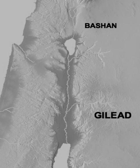 However, in Joshua 17:1, we also read that Manasseh's borders extended east of the Jordan River and included the lands of Gilead and Bashan. These two areas are east of the Jordan River.