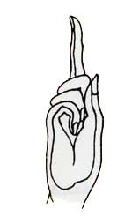 Tarjani Mudra Gesture of Warning Not only parents use the Tarjani Mudra in Buddhism it is also an expression of warning or admonition.