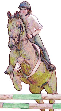 Reitturnier des Pferdeverzeichnis Pony - und Reit-Club